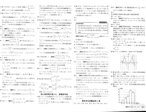 新疆青少年出版社2024年春海淀单元测试AB卷七年级数学下册人教版答案