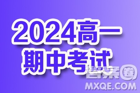 安徽智学大联考皖中名校联盟2024年高一下学期期中检测数学试卷答案