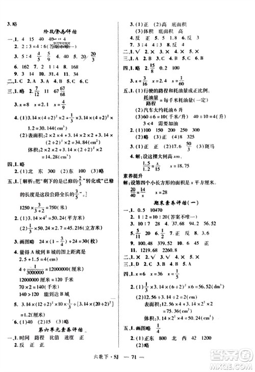宁夏人民教育出版社2024年春新领程六年级数学下册苏教版参考答案