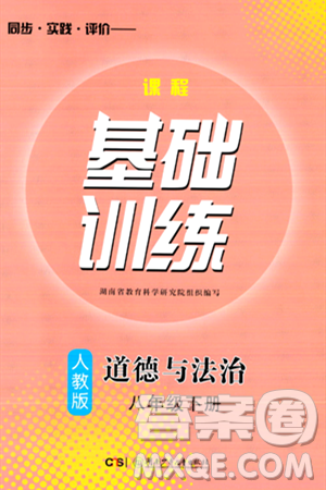湖南少年儿童出版社2024年春同步实践评价课程基础训练八年级道德与法治下册人教版答案