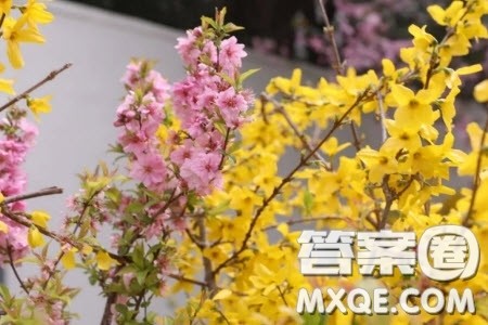 你们都对得起这个春天材料作文800字 关于你们都对得起这个春天的材料作文800字 你们都对得起这个春天材料作文800字 关于你们都对得起这个春天的材料作文800字