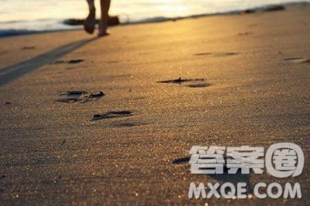 人生充满变量材料作文800字 关于人生充满变量的材料作文800字 人生充满变量材料作文800字 关于人生充满变量的材料作文800字