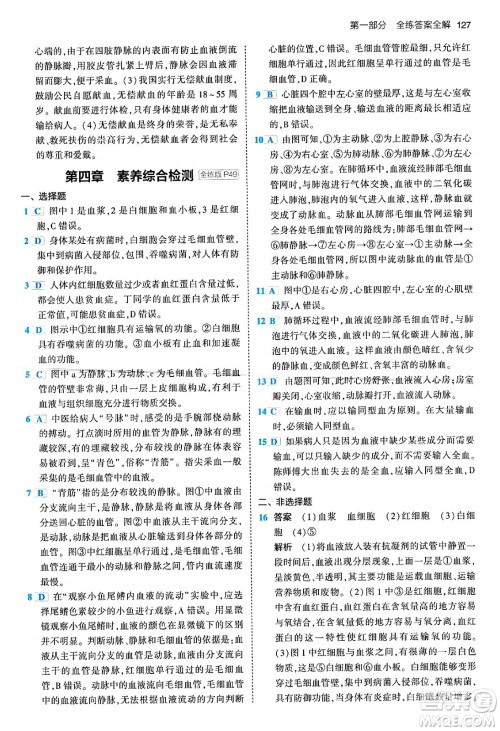 首都师范大学出版社2024年春初中同步5年中考3年模拟七年级生物下册人教版答案