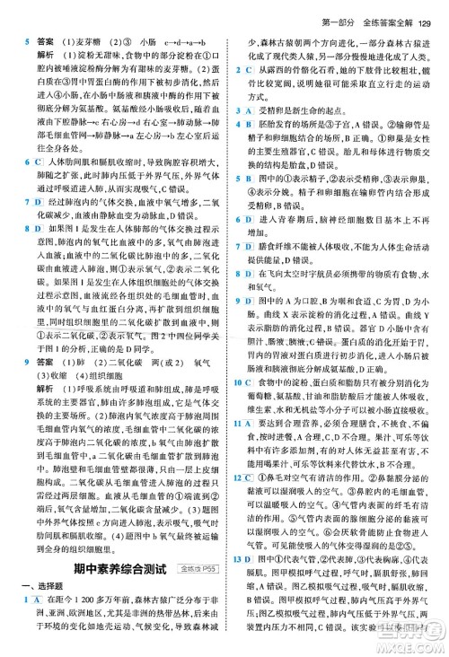 首都师范大学出版社2024年春初中同步5年中考3年模拟七年级生物下册人教版答案