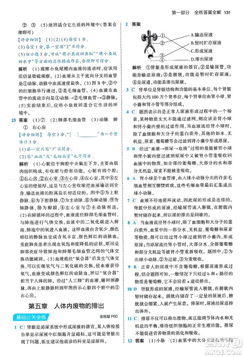 首都师范大学出版社2024年春初中同步5年中考3年模拟七年级生物下册人教版答案