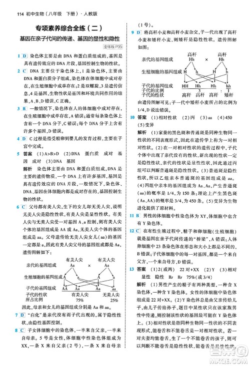 首都师范大学出版社2024年春初中同步5年中考3年模拟八年级生物下册人教版答案 首都师范大学出版社2024年春初中同步5年中考3年模拟八年级生物下册人教版答案