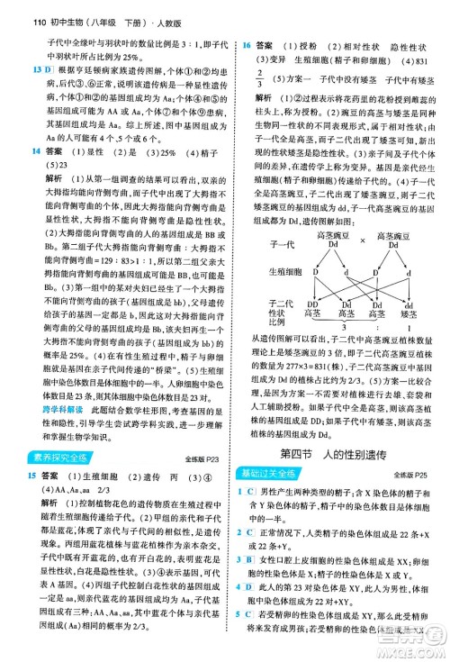首都师范大学出版社2024年春初中同步5年中考3年模拟八年级生物下册人教版答案 首都师范大学出版社2024年春初中同步5年中考3年模拟八年级生物下册人教版答案