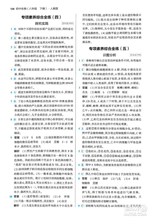 首都师范大学出版社2024年春初中同步5年中考3年模拟八年级生物下册人教版答案 首都师范大学出版社2024年春初中同步5年中考3年模拟八年级生物下册人教版答案