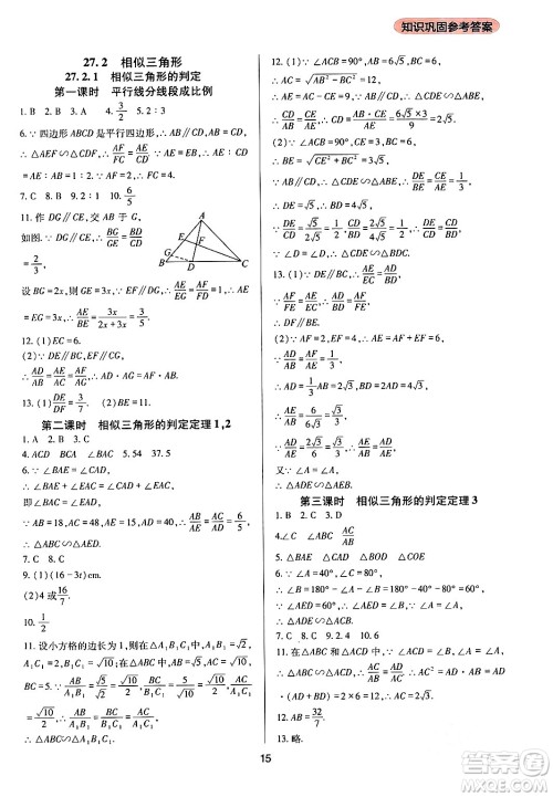 四川教育出版社2024年春新课程实践与探究丛书九年级数学下册人教版答案