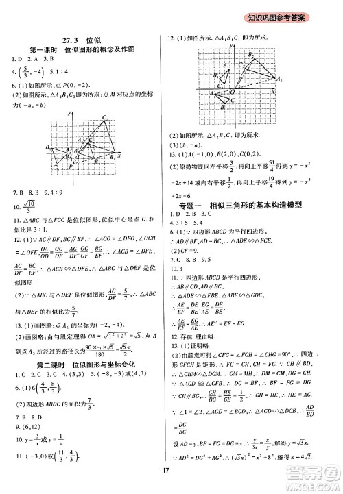 四川教育出版社2024年春新课程实践与探究丛书九年级数学下册人教版答案