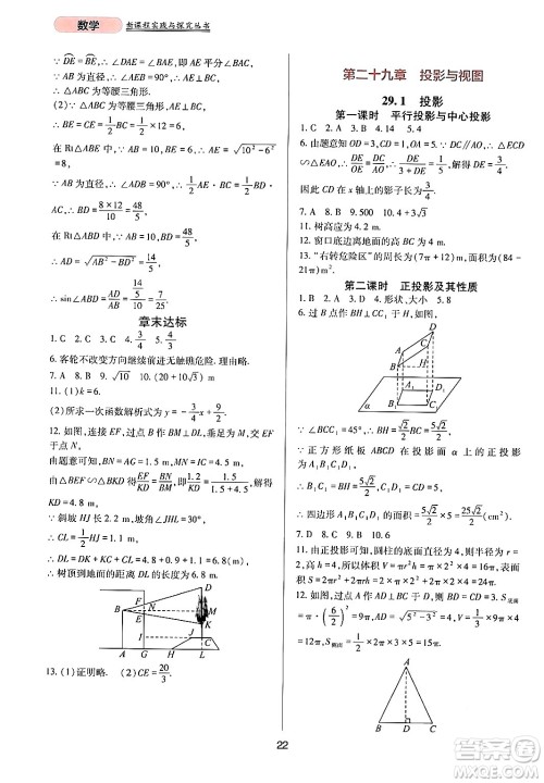 四川教育出版社2024年春新课程实践与探究丛书九年级数学下册人教版答案