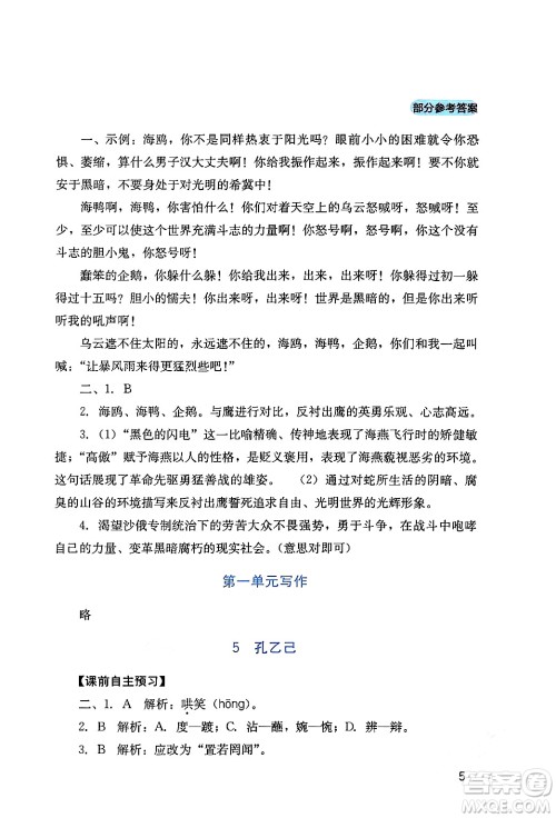 四川教育出版社2024年春新课程实践与探究丛书九年级语文下册人教版答案