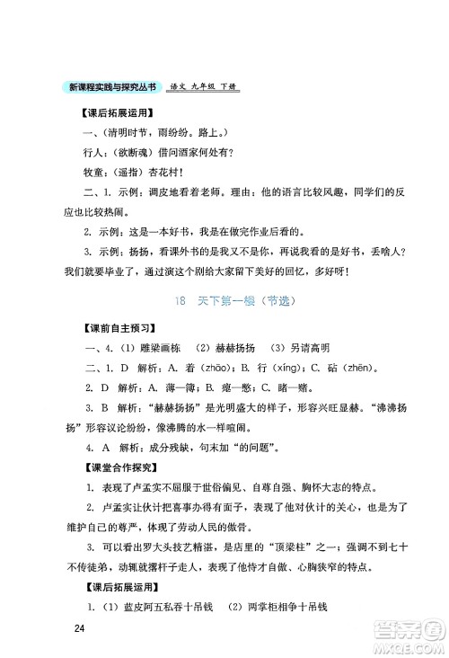 四川教育出版社2024年春新课程实践与探究丛书九年级语文下册人教版答案