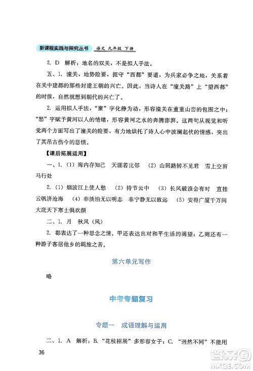 四川教育出版社2024年春新课程实践与探究丛书九年级语文下册人教版答案