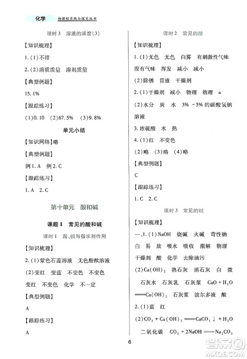 四川教育出版社2024年春新课程实践与探究丛书九年级化学下册人教版答案