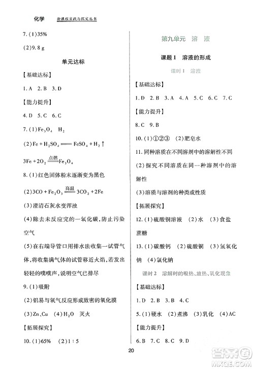 四川教育出版社2024年春新课程实践与探究丛书九年级化学下册人教版答案
