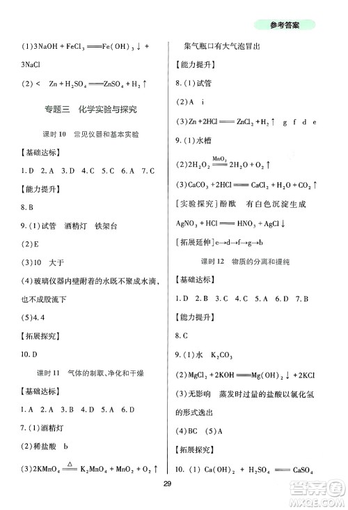 四川教育出版社2024年春新课程实践与探究丛书九年级化学下册人教版答案