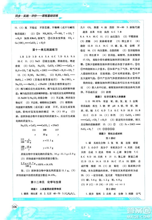 湖南少年儿童出版社2024年春同步实践评价课程基础训练九年级化学下册人教版答案