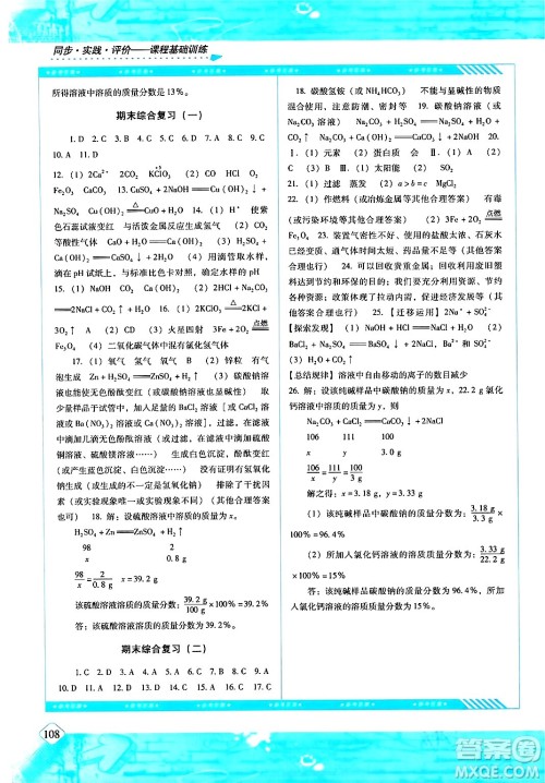 湖南少年儿童出版社2024年春同步实践评价课程基础训练九年级化学下册人教版答案
