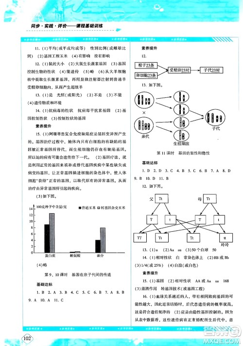 湖南少年儿童出版社2024年春同步实践评价课程基础训练八年级生物下册人教版答案