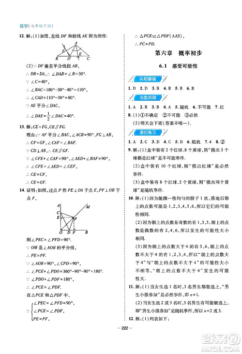 青岛出版社2024年春新课堂学习与探究七年级数学下册通用版答案 青岛出版社2024年春新课堂学习与探究七年级数学下册通用版答案