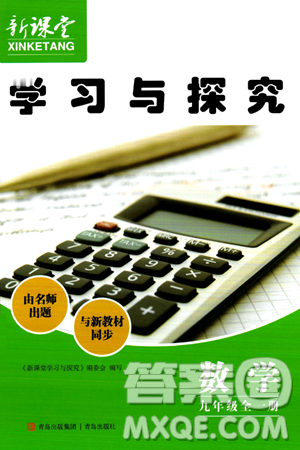 青岛出版社2024年春新课堂学习与探究九年级数学下册通用版答案