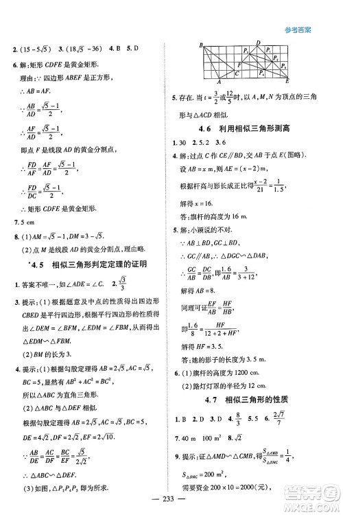 青岛出版社2024年春新课堂学习与探究九年级数学下册通用版答案