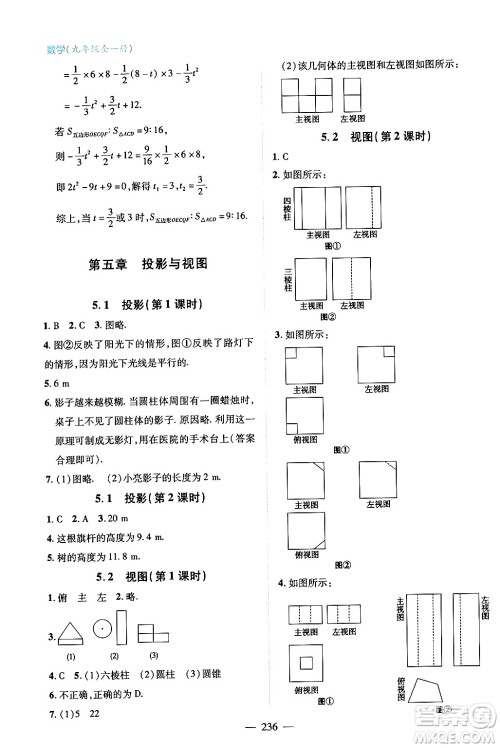 青岛出版社2024年春新课堂学习与探究九年级数学下册通用版答案