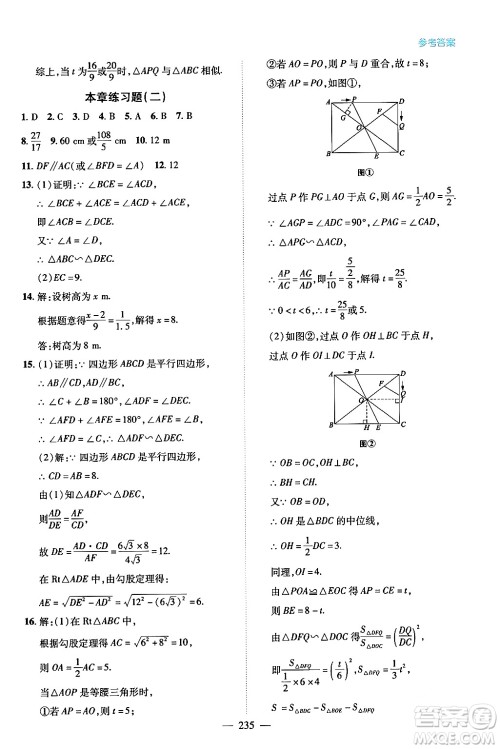 青岛出版社2024年春新课堂学习与探究九年级数学下册通用版答案