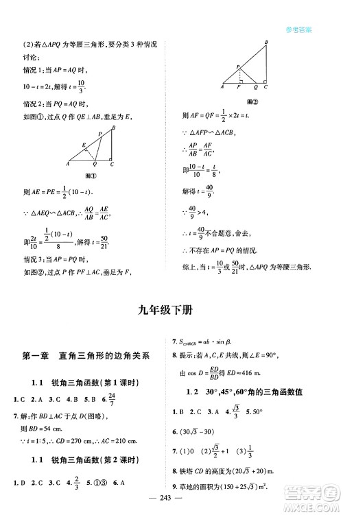 青岛出版社2024年春新课堂学习与探究九年级数学下册通用版答案