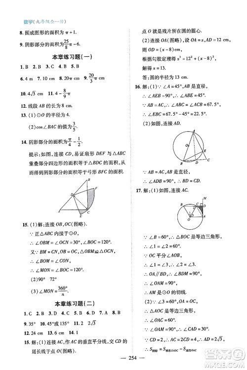 青岛出版社2024年春新课堂学习与探究九年级数学下册通用版答案