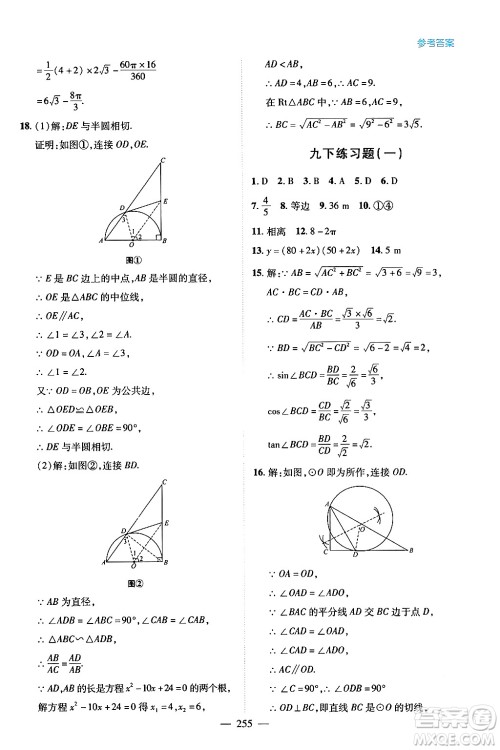 青岛出版社2024年春新课堂学习与探究九年级数学下册通用版答案