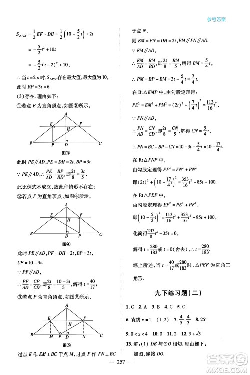 青岛出版社2024年春新课堂学习与探究九年级数学下册通用版答案