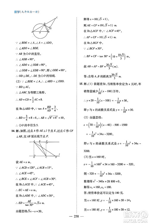 青岛出版社2024年春新课堂学习与探究九年级数学下册通用版答案