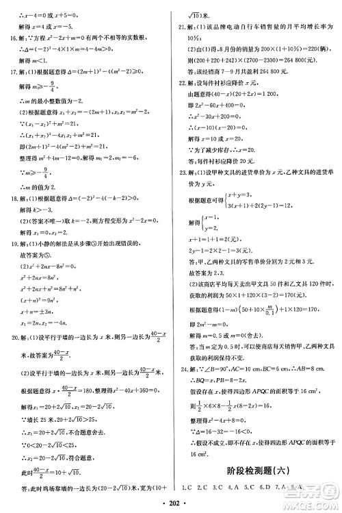 青岛出版社2024年春新课堂学习与探究九年级数学下册通用版答案