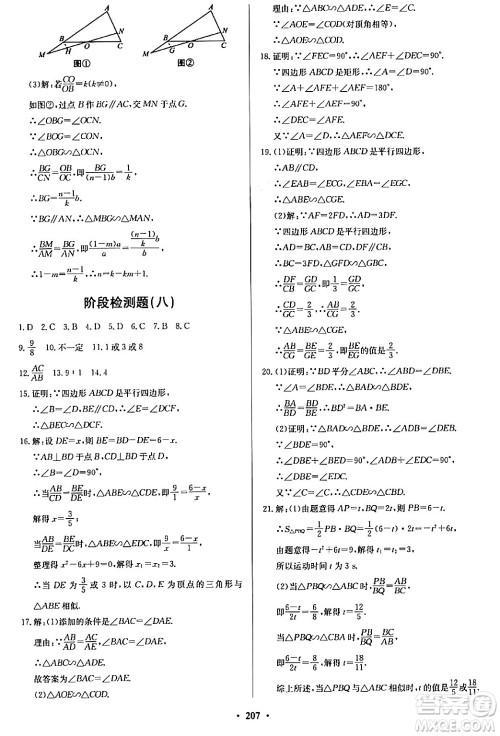 青岛出版社2024年春新课堂学习与探究九年级数学下册通用版答案