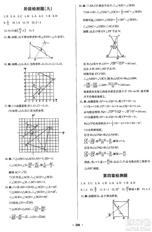 青岛出版社2024年春新课堂学习与探究九年级数学下册通用版答案