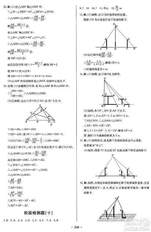 青岛出版社2024年春新课堂学习与探究九年级数学下册通用版答案