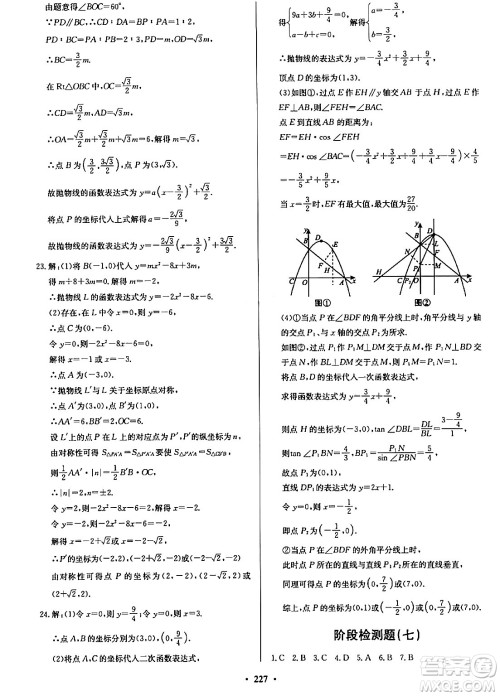 青岛出版社2024年春新课堂学习与探究九年级数学下册通用版答案