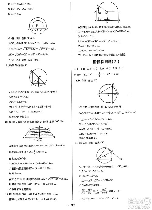 青岛出版社2024年春新课堂学习与探究九年级数学下册通用版答案