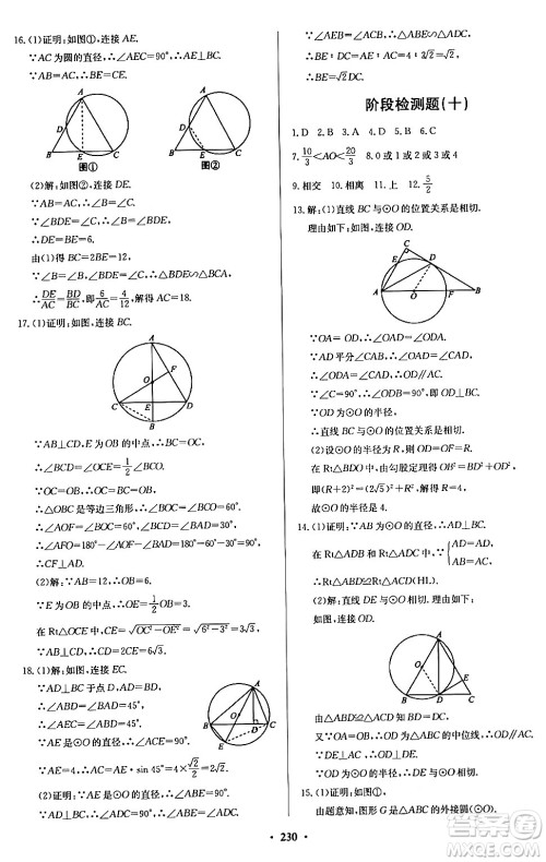 青岛出版社2024年春新课堂学习与探究九年级数学下册通用版答案