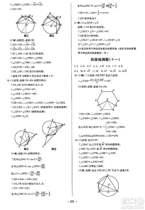 青岛出版社2024年春新课堂学习与探究九年级数学下册通用版答案