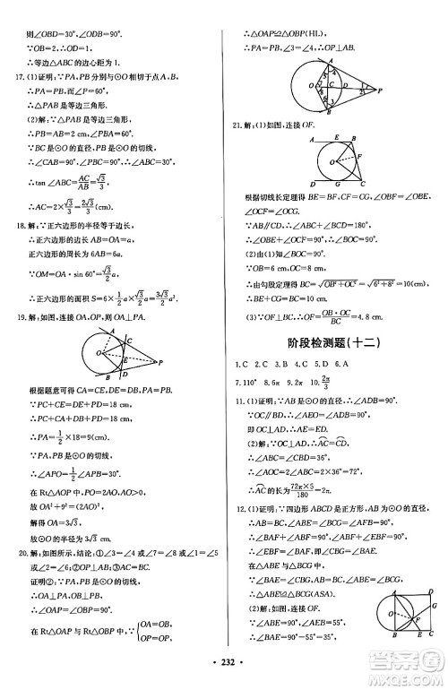 青岛出版社2024年春新课堂学习与探究九年级数学下册通用版答案