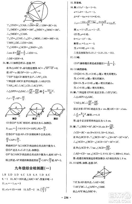 青岛出版社2024年春新课堂学习与探究九年级数学下册通用版答案