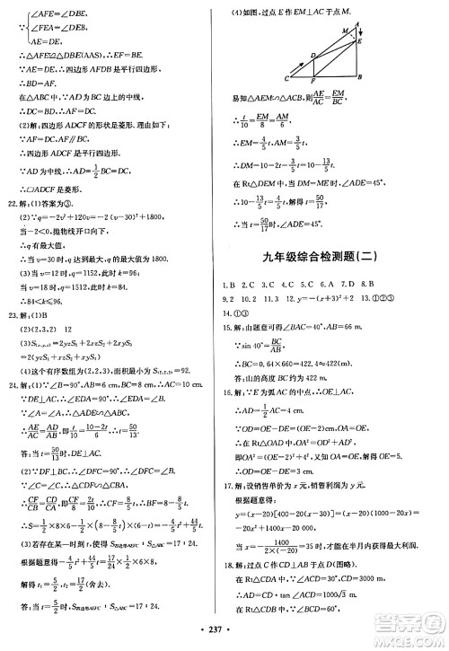 青岛出版社2024年春新课堂学习与探究九年级数学下册通用版答案