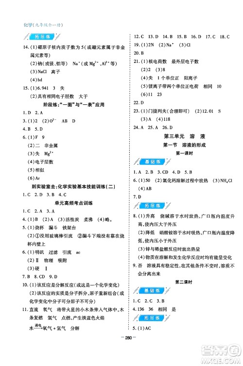 青岛出版社2024年春新课堂学习与探究九年级化学下册通用版答案