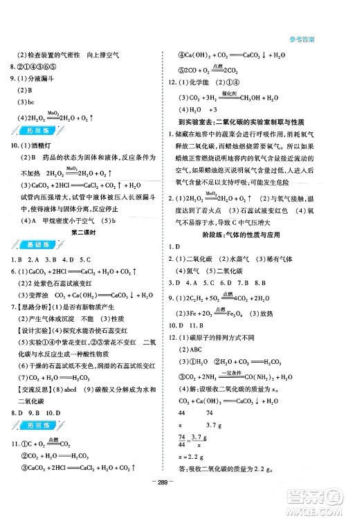 青岛出版社2024年春新课堂学习与探究九年级化学下册通用版答案
