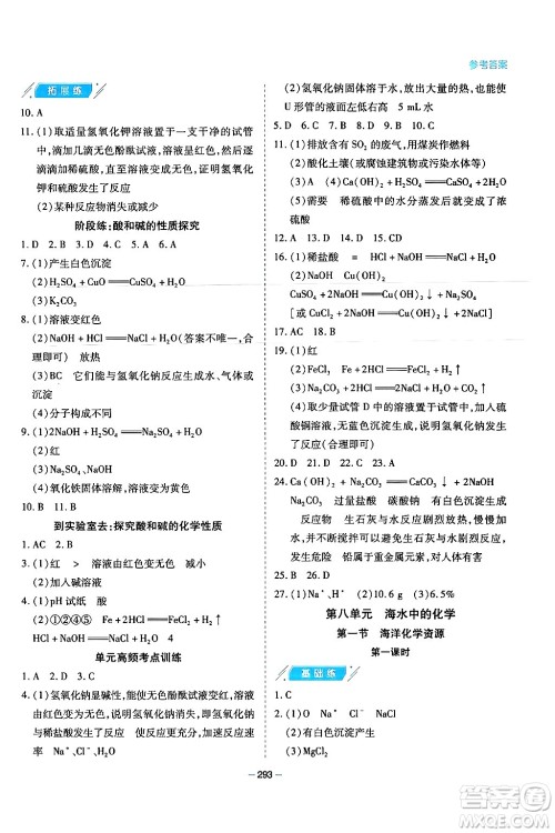 青岛出版社2024年春新课堂学习与探究九年级化学下册通用版答案