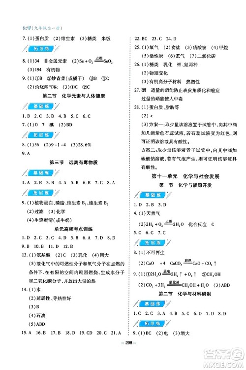 青岛出版社2024年春新课堂学习与探究九年级化学下册通用版答案
