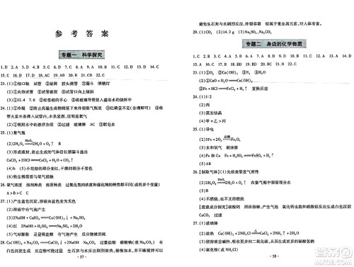 青岛出版社2024年春新课堂学习与探究九年级化学下册通用版答案